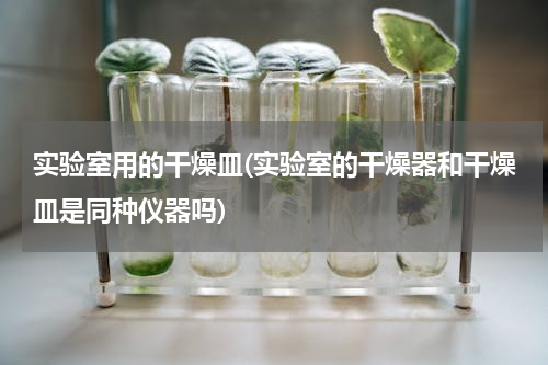 实验室用的干燥皿(实验室的干燥器和干燥皿是同种仪器吗)