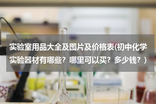 实验室用品大全及图片及价格表(初中化学实验器材有哪些？哪里可以买？多少钱？)