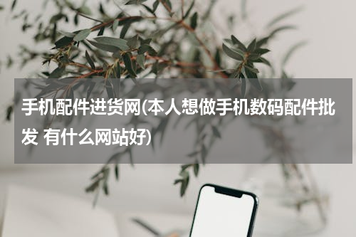 手机配件进货网(本人想做手机数码配件批发 有什么网站好)
