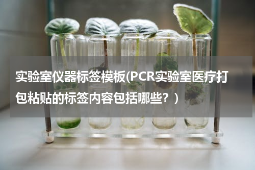 实验室仪器标签模板(PCR实验室医疗打包粘贴的标签内容包括哪些？)