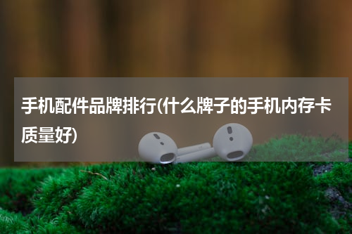 手机配件品牌排行(什么牌子的手机内存卡质量好)