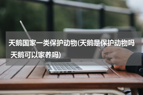 天鹅国家一类保护动物(天鹅是保护动物吗 天鹅可以家养吗)