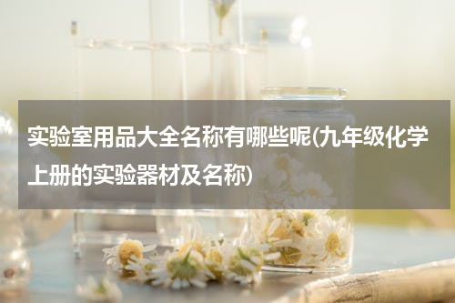 实验室用品大全名称有哪些呢(九年级化学上册的实验器材及名称)
