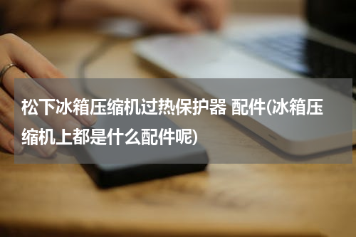 松下冰箱压缩机过热保护器 配件(冰箱压缩机上都是什么配件呢)