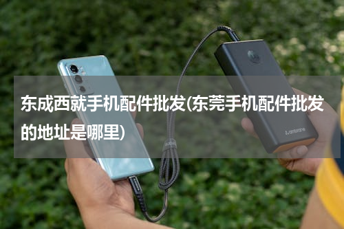 东成西就手机配件批发(东莞手机配件批发的地址是哪里)