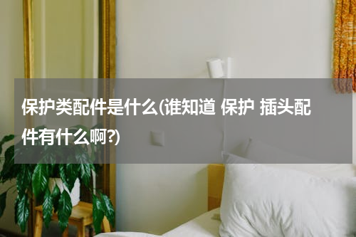 保护类配件是什么(谁知道 保护 插头配件有什么啊?)
