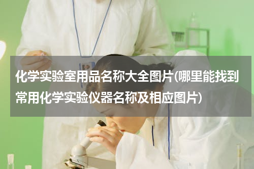 化学实验室用品名称大全图片(哪里能找到常用化学实验仪器名称及相应图片)