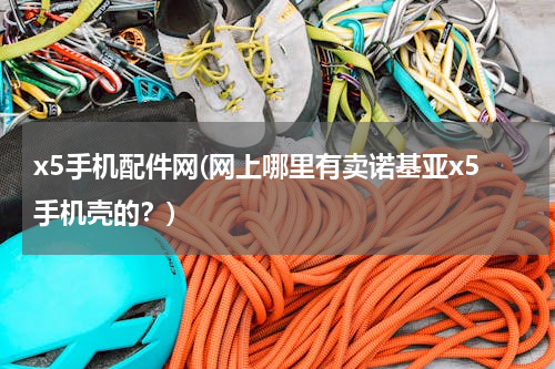 x5手机配件网(网上哪里有卖诺基亚x5手机壳的？)