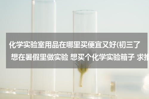 化学实验室用品在哪里买便宜又好(初三了 想在暑假里做实验 想买个化学实验箱子 求推荐 要经济实惠的)