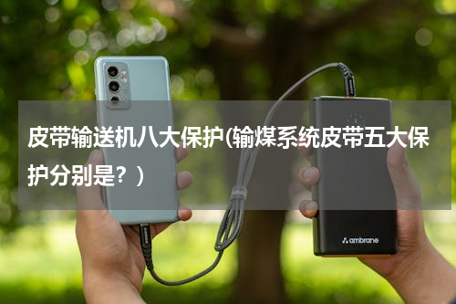 皮带输送机八大保护(输煤系统皮带五大保护分别是？)