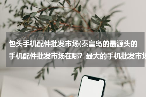 包头手机配件批发市场(秦皇岛的最源头的手机配件批发市场在哪？最大的手机批发市场在哪？)