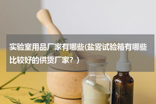 实验室用品厂家有哪些(盐雾试验箱有哪些比较好的供货厂家？)