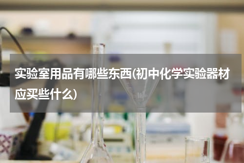 实验室用品有哪些东西(初中化学实验器材应买些什么)