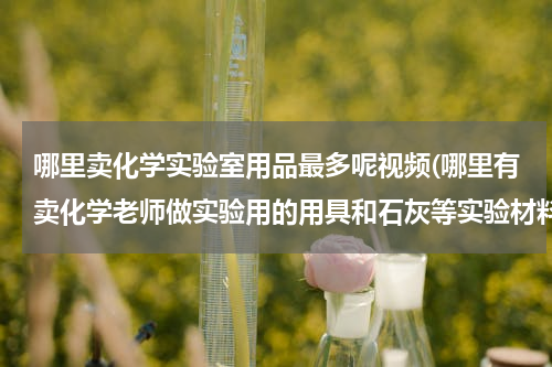 哪里卖化学实验室用品最多呢视频(哪里有卖化学老师做实验用的用具和石灰等实验材料)