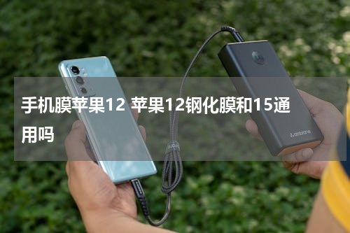 手机膜苹果12 苹果12钢化膜和15通用吗