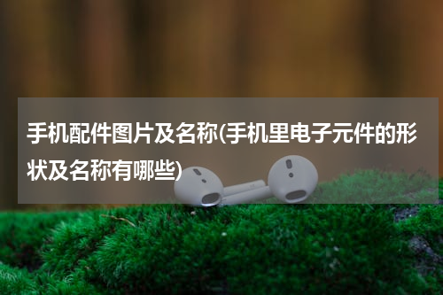 手机配件图片及名称(手机里电子元件的形状及名称有哪些)