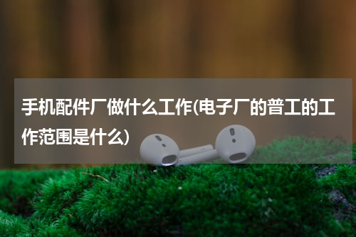 手机配件厂做什么工作(电子厂的普工的工作范围是什么)