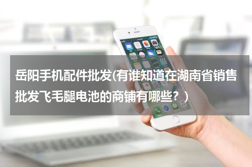 岳阳手机配件批发(有谁知道在湖南省销售批发飞毛腿电池的商铺有哪些？)