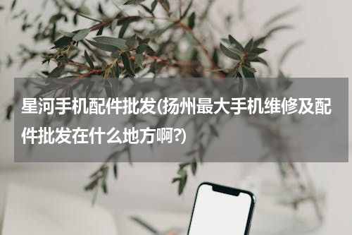 星河手机配件批发(扬州最大手机维修及配件批发在什么地方啊?)