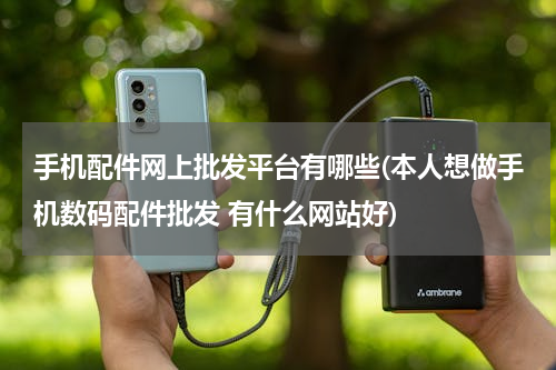 手机配件网上批发平台有哪些(本人想做手机数码配件批发 有什么网站好)