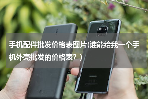 手机配件批发价格表图片(谁能给我一个手机外壳批发的价格表？)