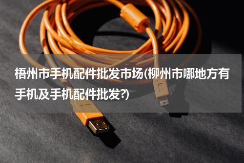梧州市手机配件批发市场(柳州市哪地方有手机及手机配件批发?)