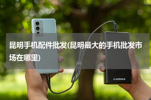 昆明手机配件批发(昆明最大的手机批发市场在哪里)