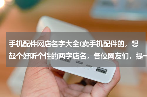 手机配件网店名字大全(卖手机配件的，想起个好听个性的两字店名，各位网友们，提一下建议。)