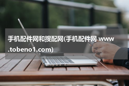 手机配件网和搜配网(手机配件网 www.tobeno1.com)