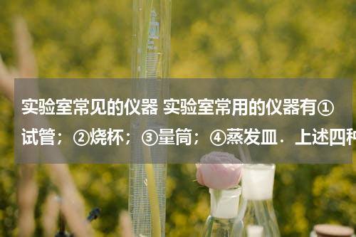 实验室常见的仪器 实验室常用的仪器有①试管；②烧杯；③量筒；④蒸发皿．上述四种仪器中，既能盛装固体在酒精灯上直接加热