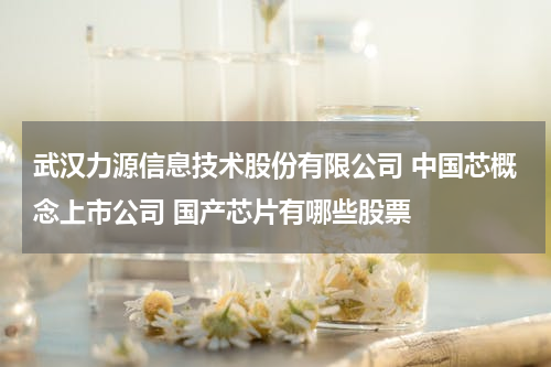 武汉力源信息技术股份有限公司 中国芯概念上市公司 国产芯片有哪些股票