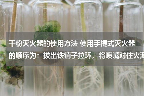 干粉灭火器的使用方法 使用手提式灭火器的顺序为：拔出铁销子拉环，将喷嘴对住火源、人站在上分头，用手压住提手（压手）、