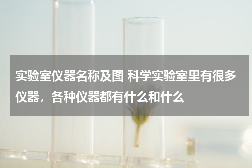 实验室仪器名称及图 科学实验室里有很多仪器，各种仪器都有什么和什么