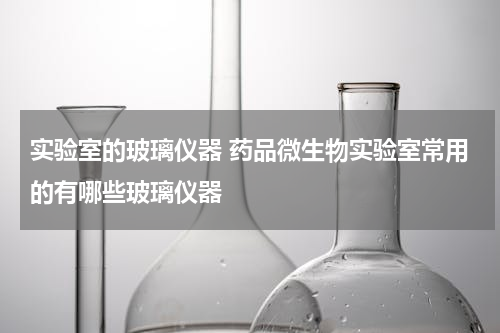实验室的玻璃仪器 药品微生物实验室常用的有哪些玻璃仪器