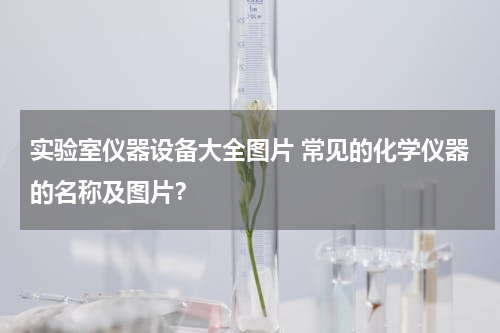 实验室仪器设备大全图片 常见的化学仪器的名称及图片？