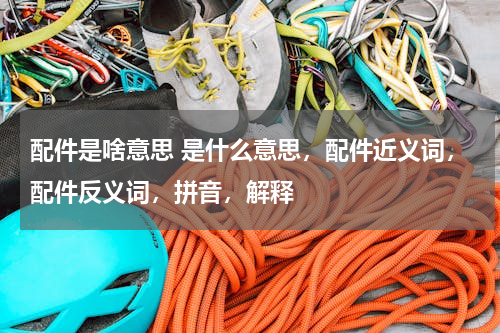 配件是啥意思 是什么意思，配件近义词，配件反义词，拼音，解释