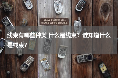 线束有哪些种类 什么是线束？谁知道什么是线束？