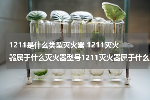 1211是什么类型灭火器 1211灭火器属于什么灭火器型号1211灭火器属于什么灭火器