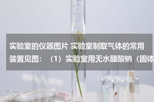 实验室的仪器图片 实验室制取气体的常用装置见图：（1）实验室用无水醋酸钠（固体）和碱石灰（固体）混合加热制取甲烷．甲