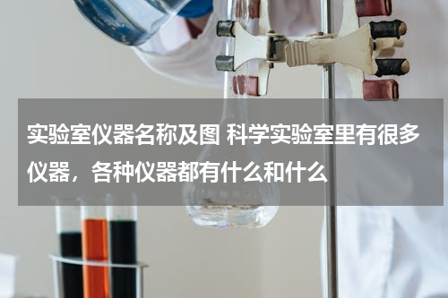 实验室仪器名称及图 科学实验室里有很多仪器，各种仪器都有什么和什么