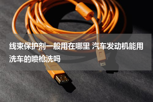 线束保护剂一般用在哪里 汽车发动机能用洗车的喷枪洗吗