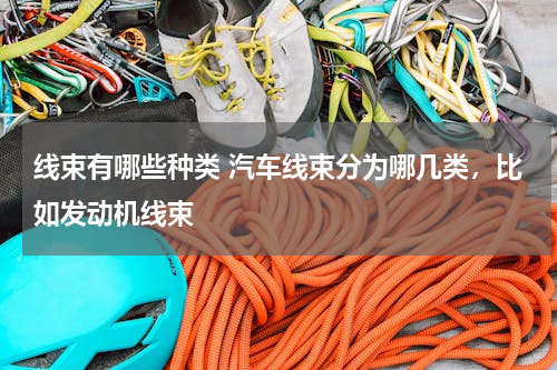 线束有哪些种类 汽车线束分为哪几类，比如发动机线束