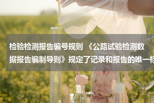 检验检测报告编号规则 《公路试验检测数据报告编制导则》规定了记录和报告的唯一标识编码规则,是否正确?
