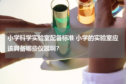 小学科学实验室配备标准 小学的实验室应该具备哪些仪器啊？
