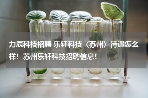 力辰科技招聘 乐轩科技（苏州）待遇怎么样！苏州乐轩科技招聘信息！