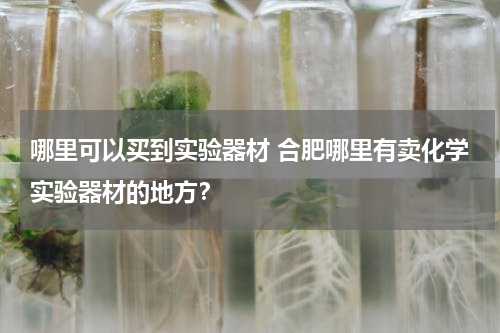 哪里可以买到实验器材 合肥哪里有卖化学实验器材的地方？