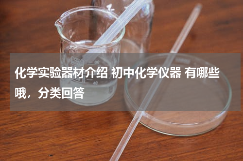化学实验器材介绍 初中化学仪器 有哪些哦，分类回答