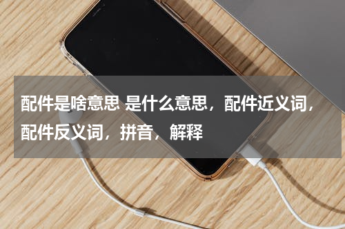 配件是啥意思 是什么意思，配件近义词，配件反义词，拼音，解释