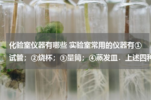 化验室仪器有哪些 实验室常用的仪器有①试管；②烧杯；③量筒；④蒸发皿．上述四种仪器中，既能盛装固体在酒精灯上直接加热