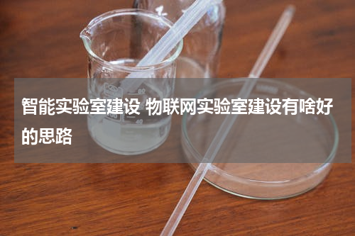 智能实验室建设 物联网实验室建设有啥好的思路